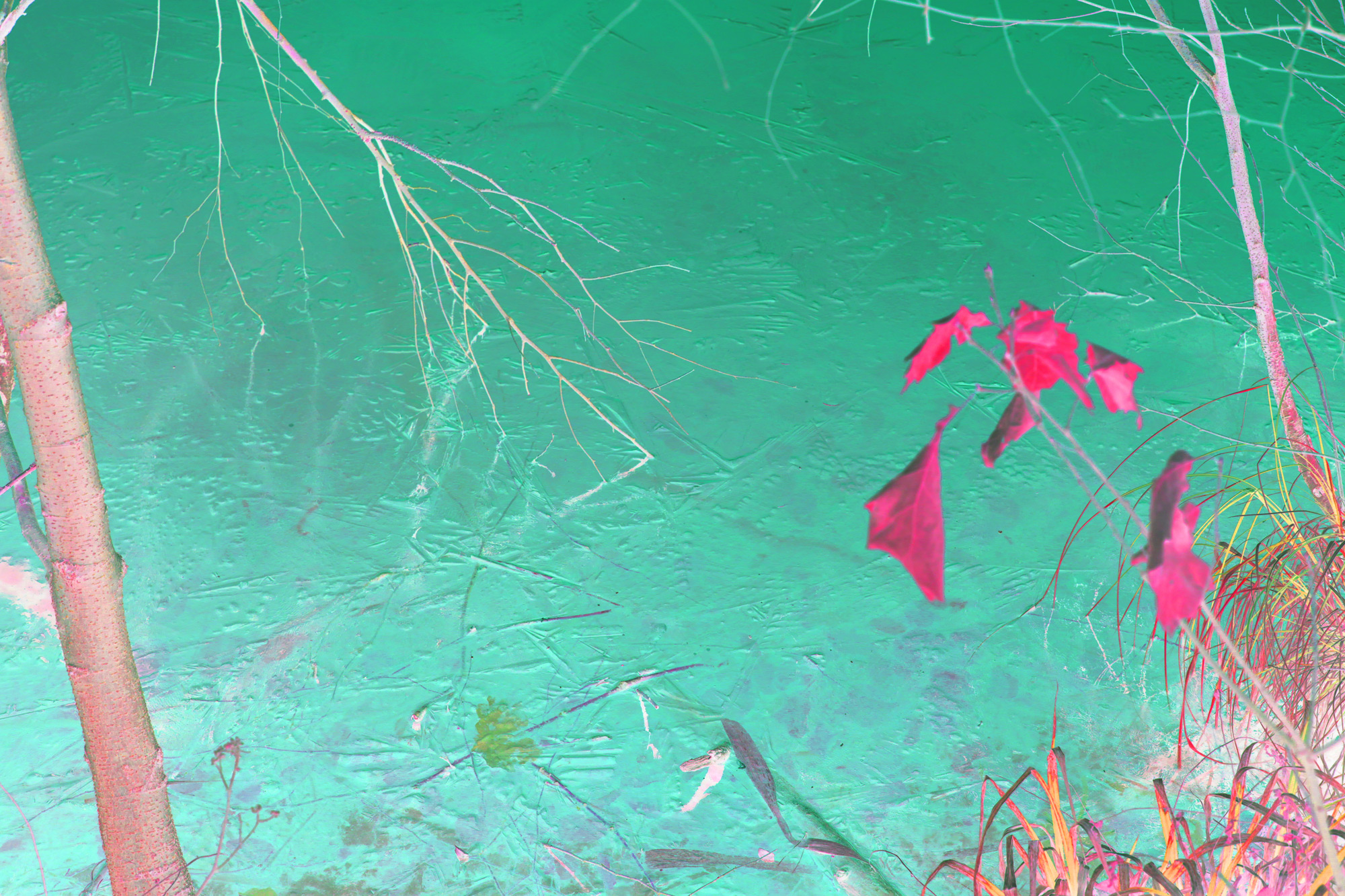 Karsten Heller 41 PHOTOGRAPHS FOR A BOOK