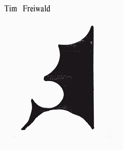 Buch TIM FREIWALD - DIE ERFINDUNG DER RUINE, Diamondpaper Publishing, 2014