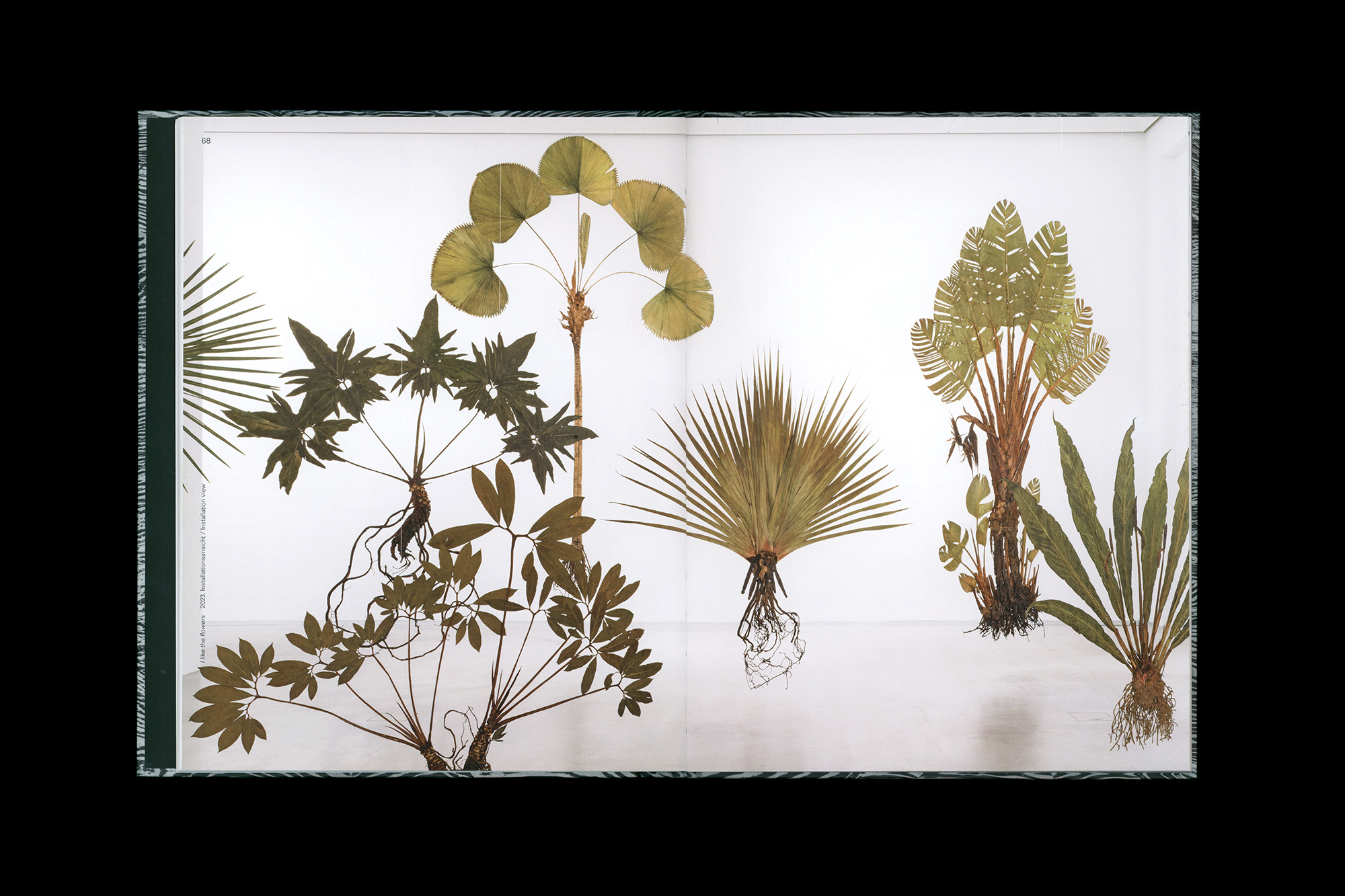 Julius von Bismarck – When Platitudes Become Form