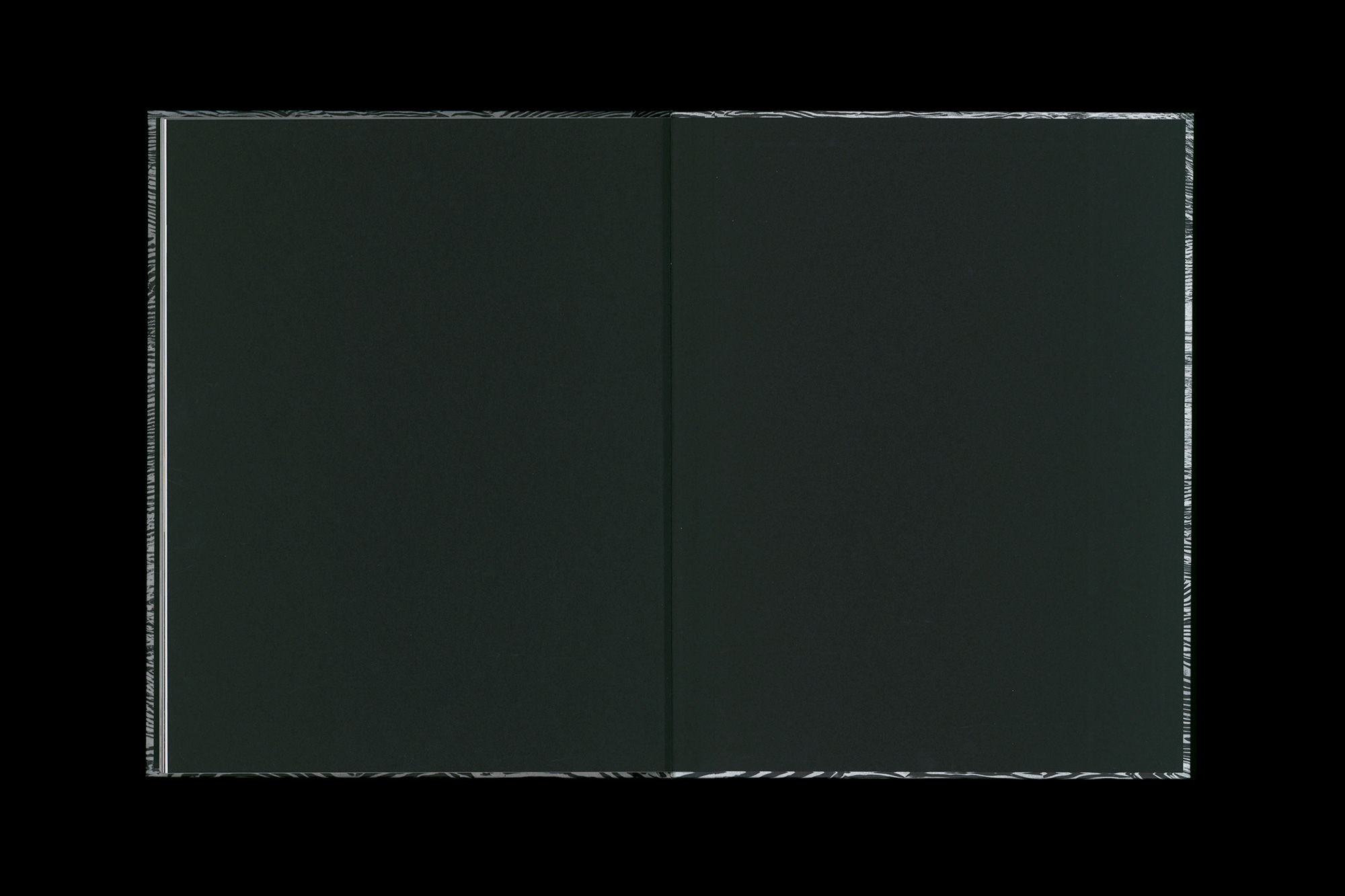 Julius von Bismarck – When Platitudes Become Form