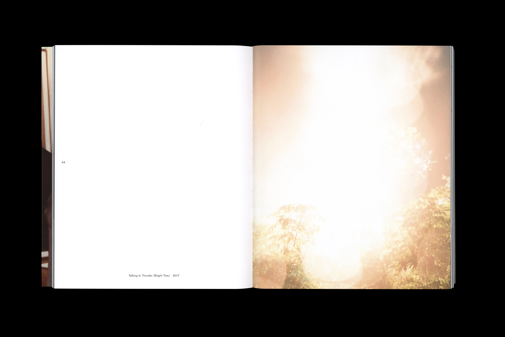 Julius von Bismarck – TALKING TO THUNDER