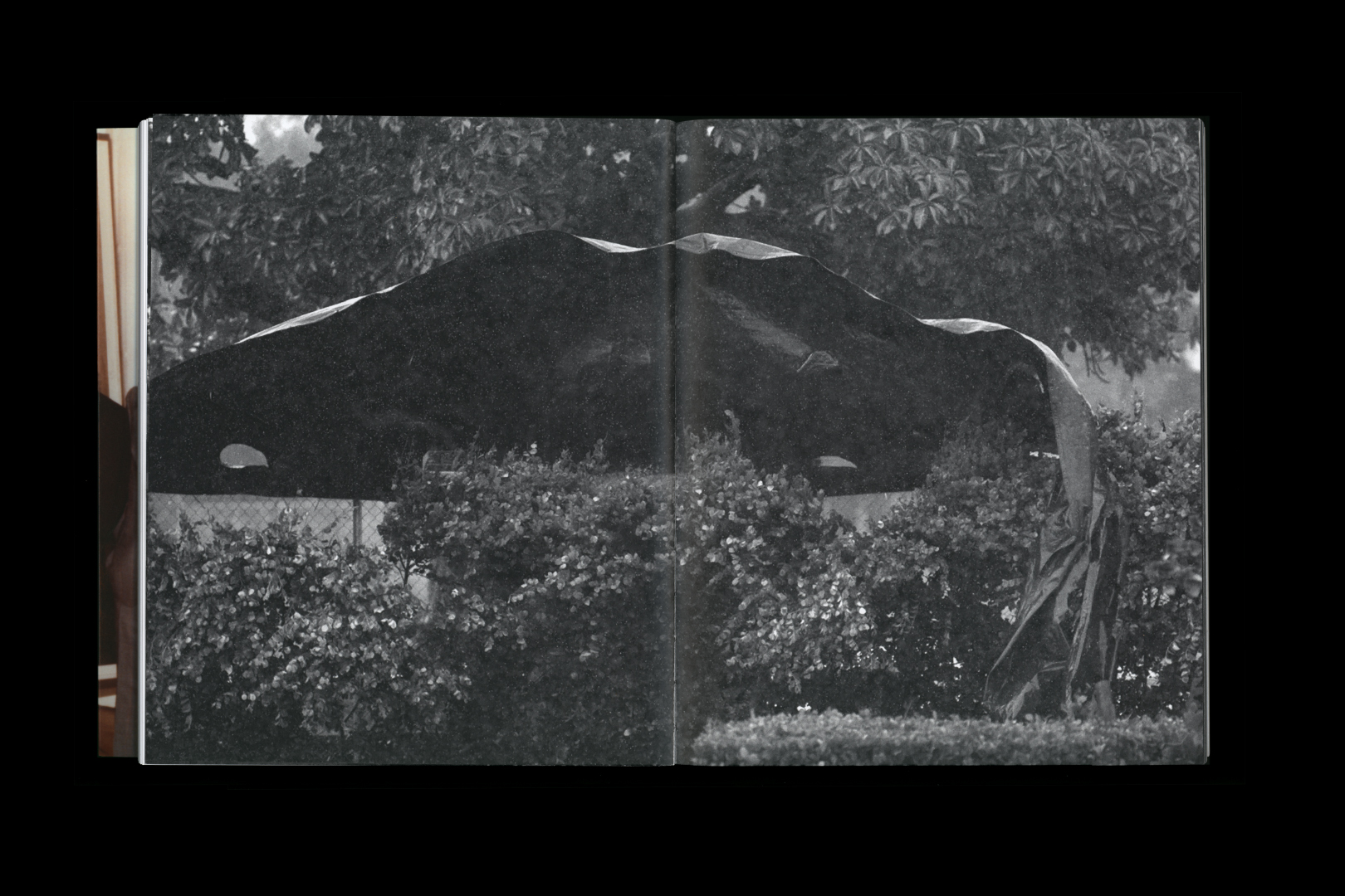 Julius von Bismarck – TALKING TO THUNDER