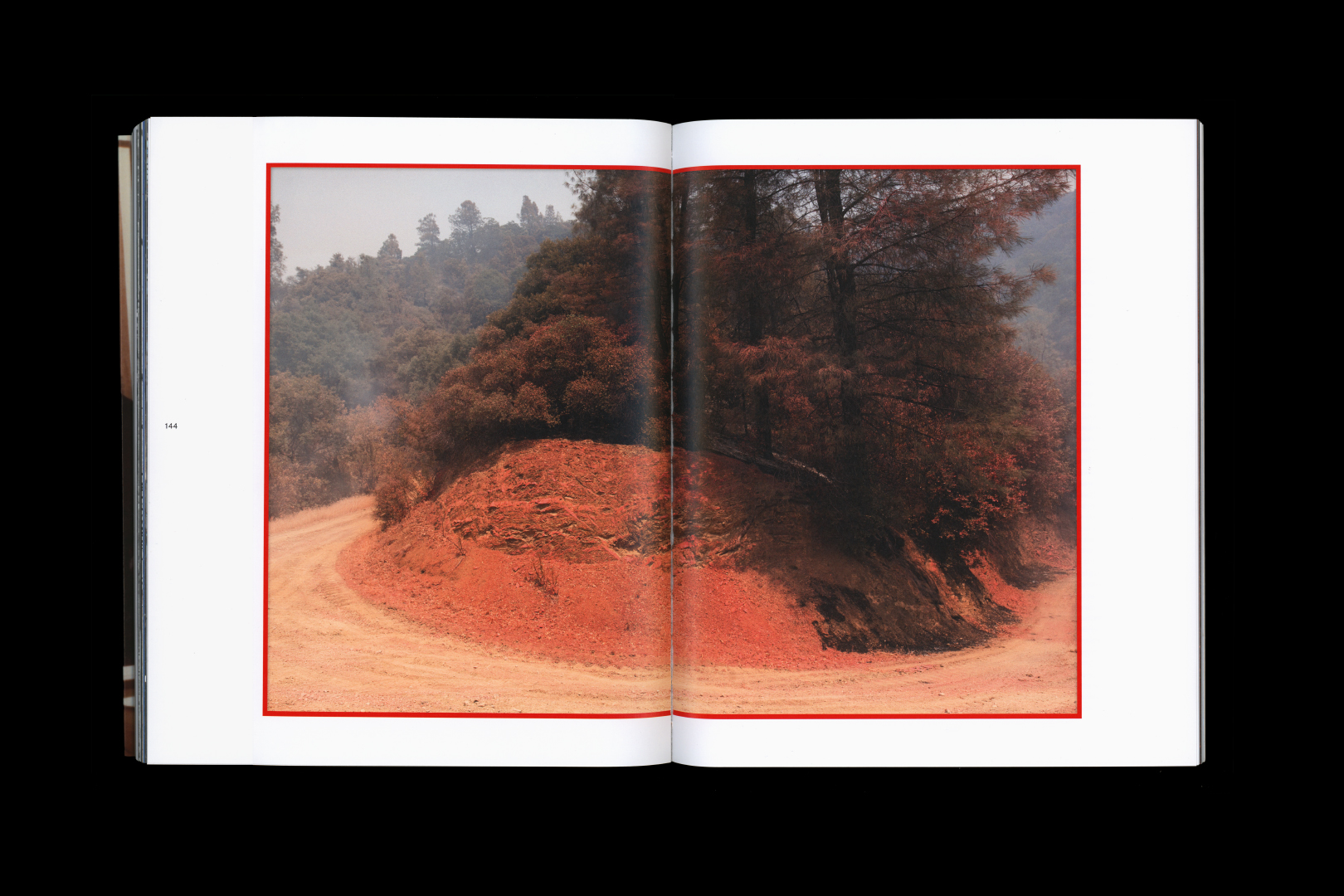 Julius von Bismarck – TALKING TO THUNDER