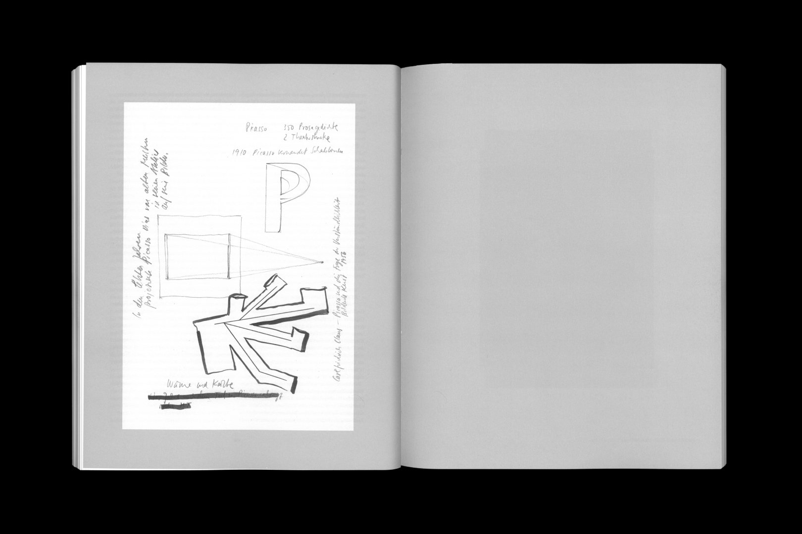 PABLO PICASSO X THOMAS SCHEIBITZ