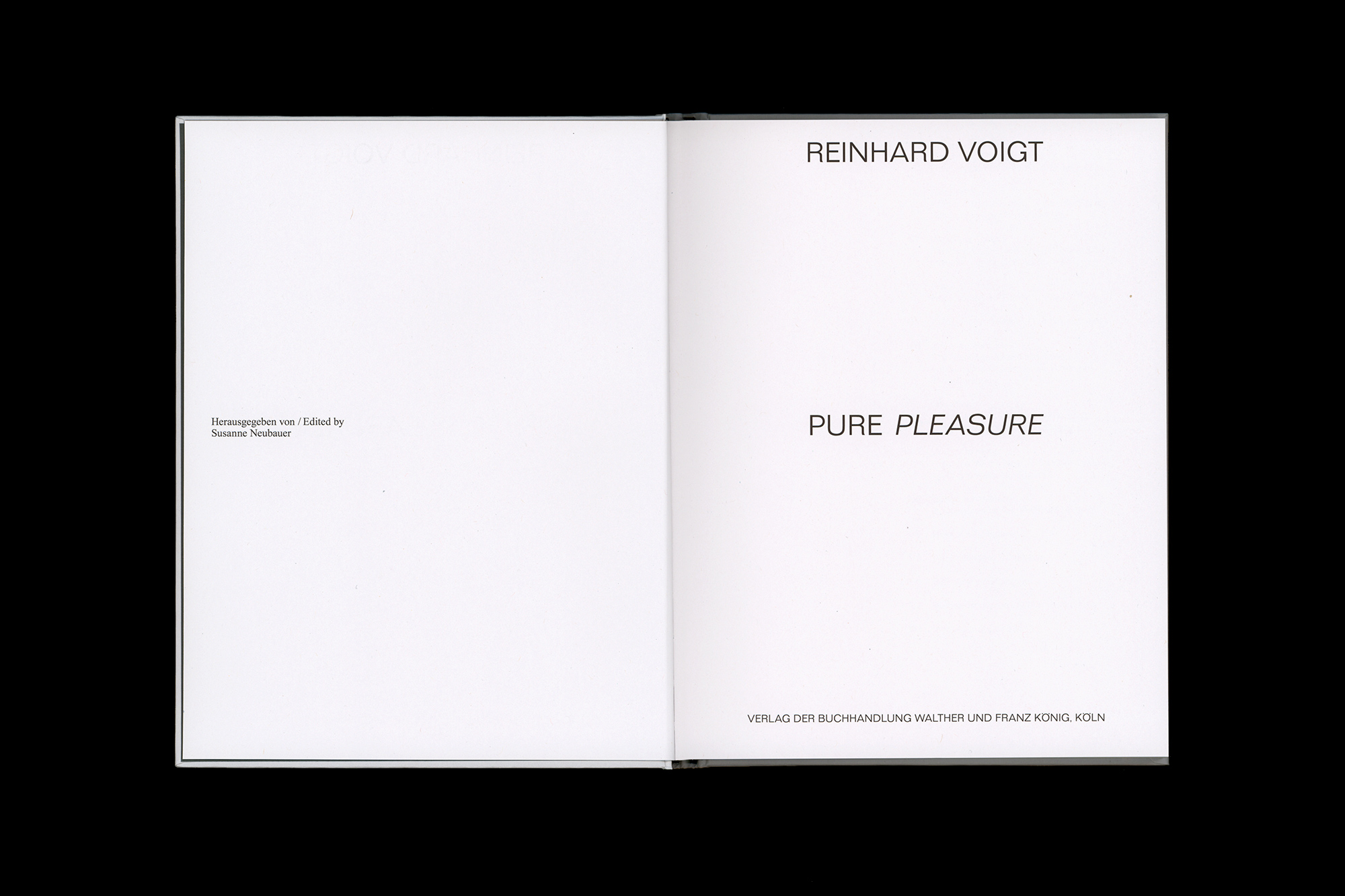 Reinhard Voigt PURE PLEASURE
