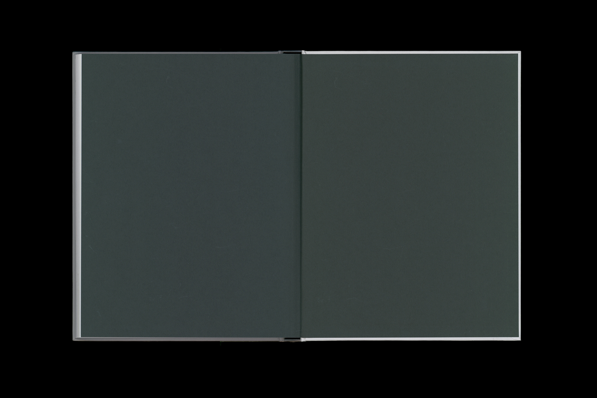 Reinhard Voigt PURE PLEASURE