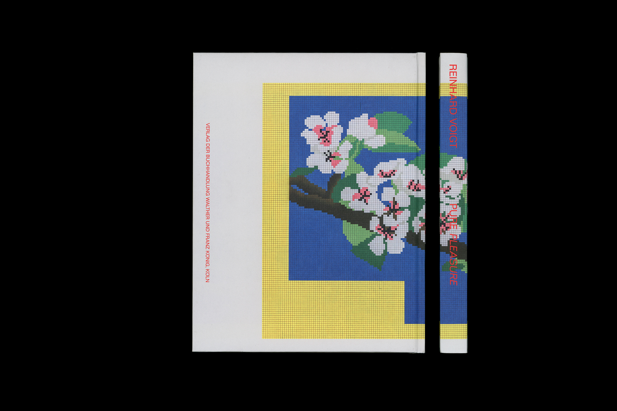 Reinhard Voigt PURE PLEASURE